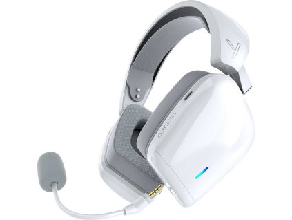 d 56f08fd369664d7c926d5bd298338a55 1000 1000