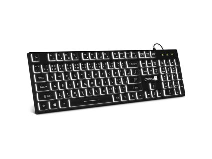 10N0000P01 1000 1000