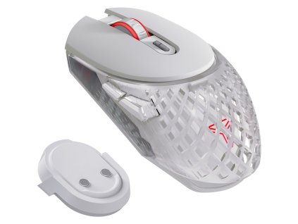 KIT5000701 1000 1000