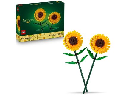 d b59054ada2ad4acea97f5ddd3199ae67 1000 1000