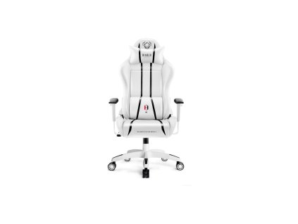 BP2G000K01 1000 1000