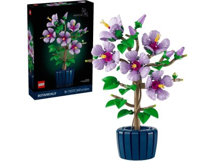 d 621ae5e30bb24296b0947f5377560cc8 1000 1000