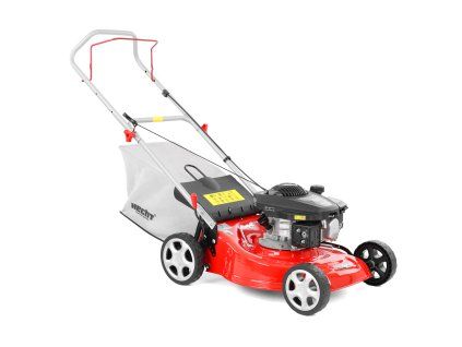 HECHT 546 C od 2025