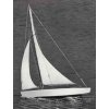 Ace Racing Sloop plachetnice 432mm  Nevíte kde uplatnit Sodexo, Pluxee, Edenred, Benefity klikni