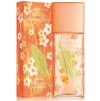 elizabeth arden green tea nectarine blossom edt 100 ml pro zeny ien438232