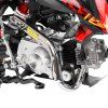 HECHT 51126 RED od 2025 Detail 01