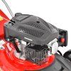 HECHT 543 2021 Detail 02