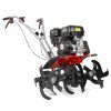 HECHT 785 od 2023