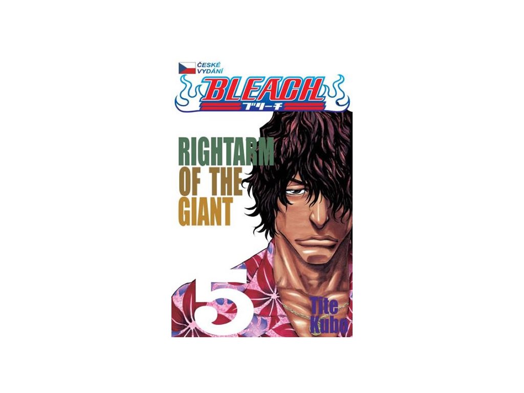Bleach 5: Right Arm of the Giant