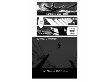 Bleach 1: The Death and the Strawberry