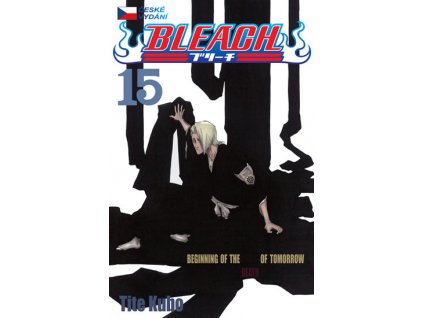 330708 1 bleach 15 beginning of death tomorrow