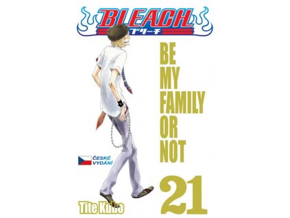 330729 1 bleach 21 be my family or not