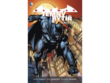 Batman: Temný rytíř 1 - Temné děsy