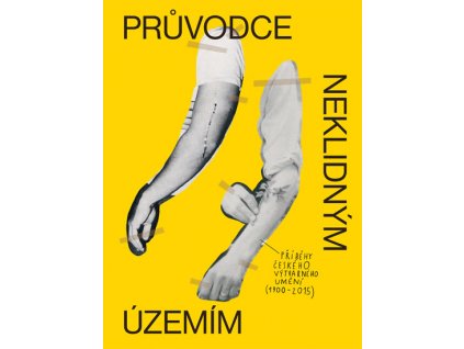 Průvodce neklidným územím - Příběhy českého výtvarného umění (1900–2015)