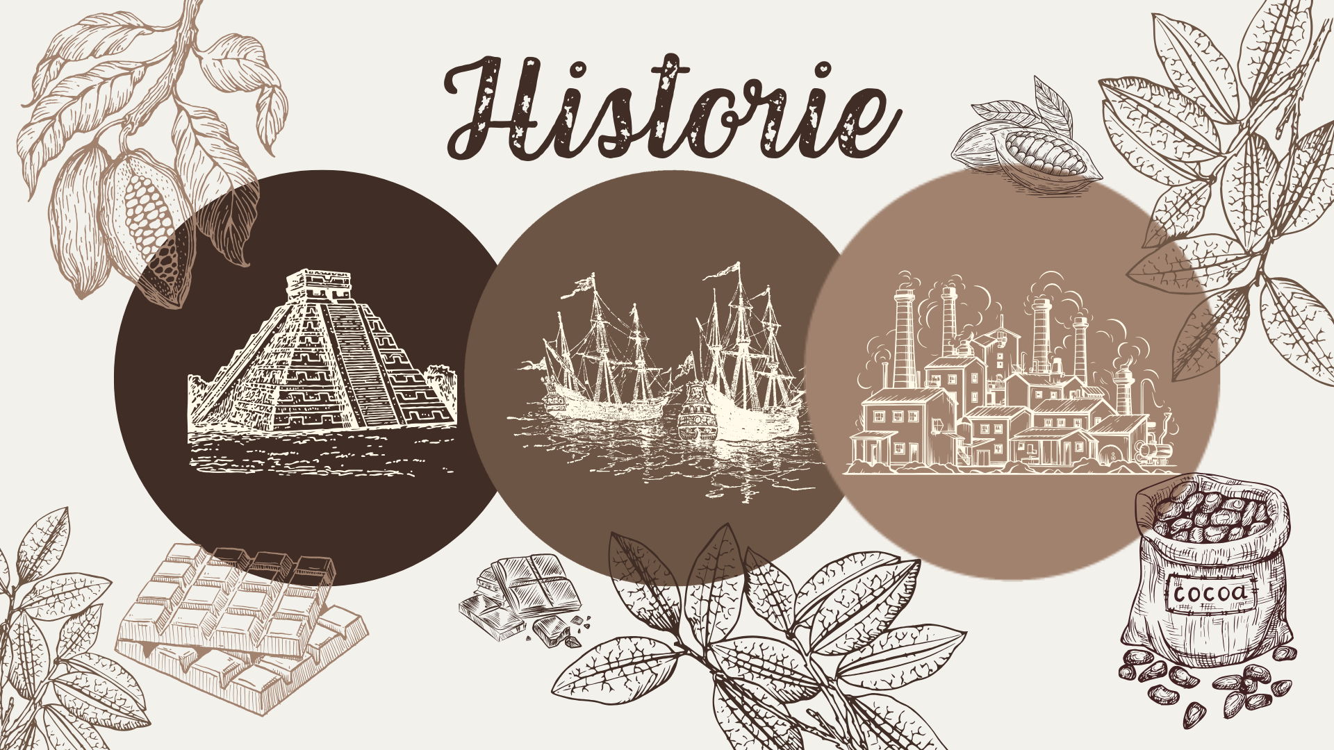 Odkud pochází čokoláda: Z jihoamerických pralesů až na pulty supermarketů