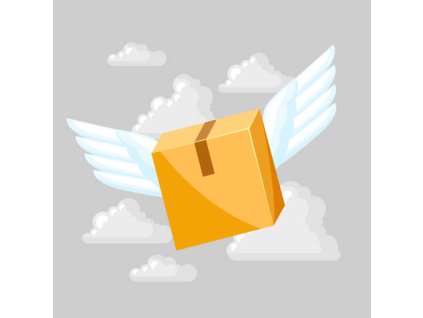 Přednostní expedice