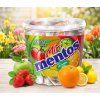 mentos fruit mix mini 1260g