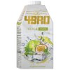 4bro ice tea ipanema 500ml no1 3911