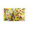 jelly belly 5 flavour sours 1kg 800x800