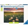 Ravensburger - Puzzle 500 Púpava v západe slnka