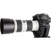 Canon 70 200mm f 4L IS II Lens Angle with Hood