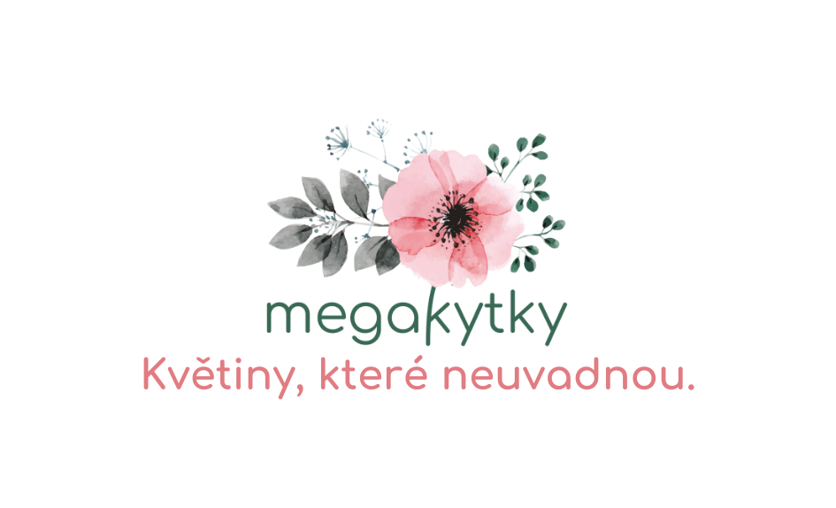 Megakytky
