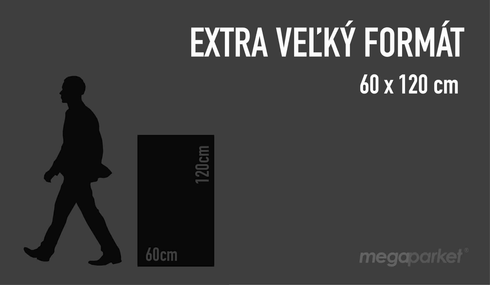 EXTRA_VELKY_FORMAT_VINYL_KAMEN_MRAMOR_1