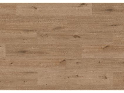 Oak Thomas wide plank 1
