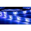LED-SADA-K-RGBW-2M – detail LED pásu