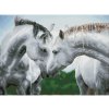 J2FB000101 dqk10012 diamond dotz kone 1