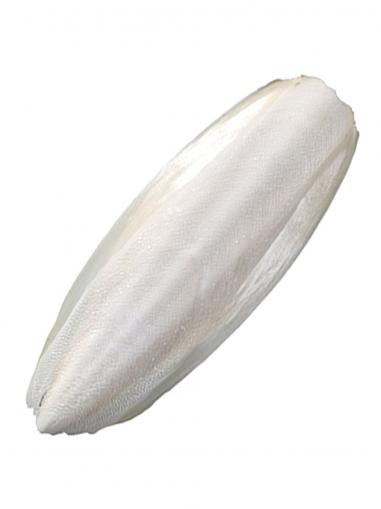 MEGAMLS™ Sepiová kost