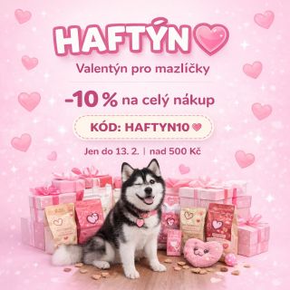 Mazlíčci mají také Valentýn 💗 Protože láska není jen o kytkách a čokoládě. Je i o pamlsku navíc, nové hračce, měkkém...