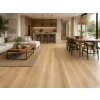 3632 colton viz