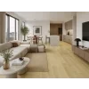 3247 desert oak viz