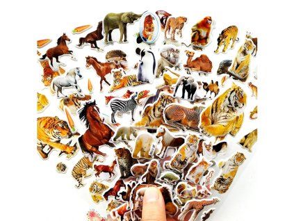 HTB1MFBqXErrK1RkSne1q6ArVVXar