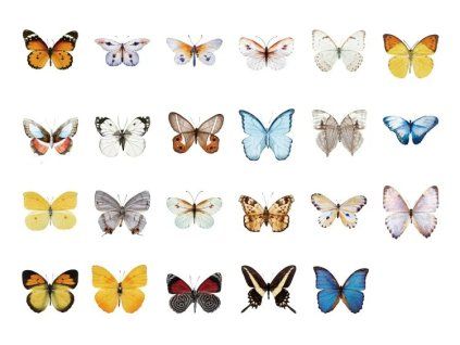 H2fc183c39cde43909659117983e77380W