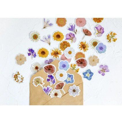 H04eab1e7a4844d9f92fc46c51fa63915I