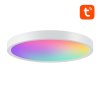 85466 2 smart ceiling lamp 30cm wifi bluetooth 16m rgbcw gosund lb12 1920lm tuya remote control