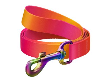 WAUDOG gradient nylon dog leash, 20mm wide, 122cm long, orange