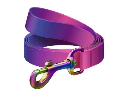 Nylonové vodítko pre psov WAUDOG s gradientom, šírka 20 mm, dĺžka 122 cm, fialové
