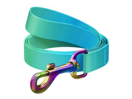 WAUDOG gradient nylon dog leash, 15mm wide, 122cm long, blue