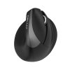 Bezdrôtová vertikálna myš Delux M618Mini BT+2.4G RGB 4000DPI (sivá)