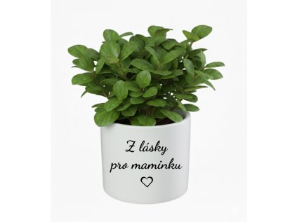 Z lasky pro maminku