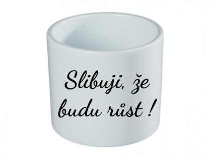 Slibuji, že budu rust !