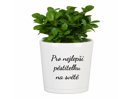 Pro nejelspi pestitelku