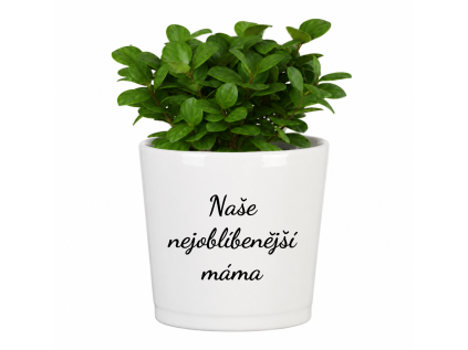 Naše nejoblibenejsi mama
