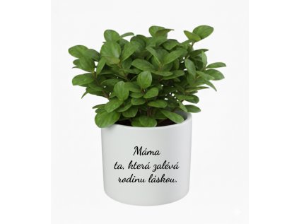 Máma ta ktera zaleva rodinu laskou