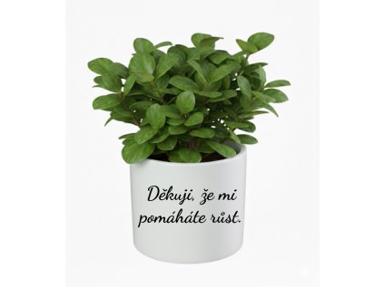 Děkuji, ze i pomahate rust