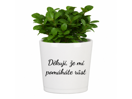 Dekuji ze mi pomahate rust
