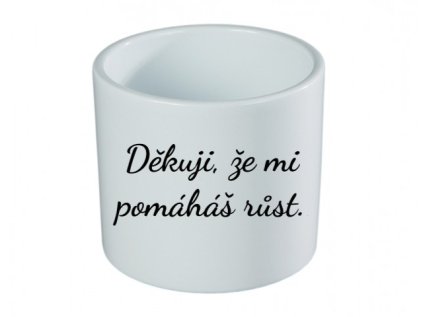 Dekuji, ze mi pomahas rust.